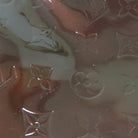 155406259.jpg