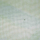 155921393.jpg