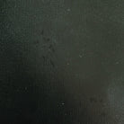 167388418.jpg