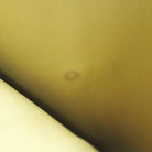 167414150.jpg