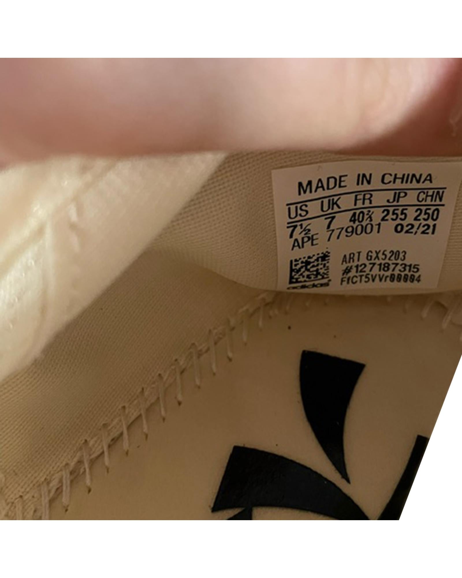 169528984.jpg