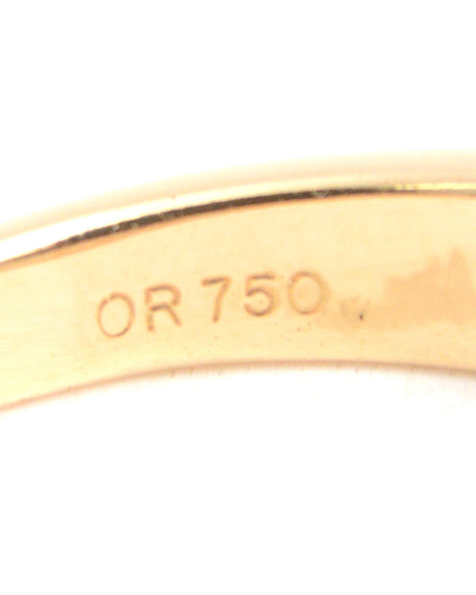 221279454.jpg