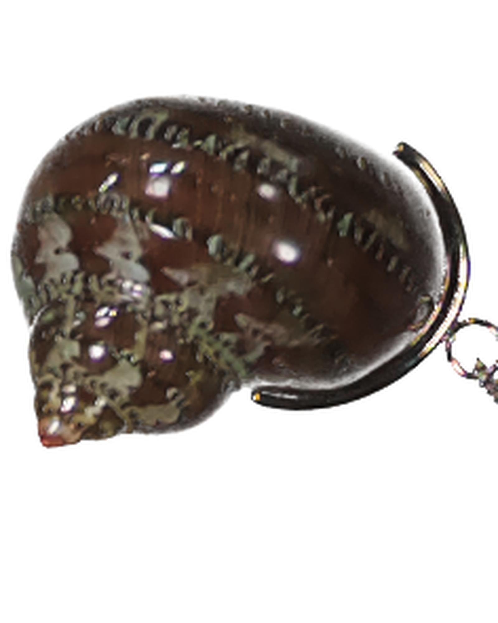 221850998.jpg