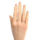 235230074.jpg