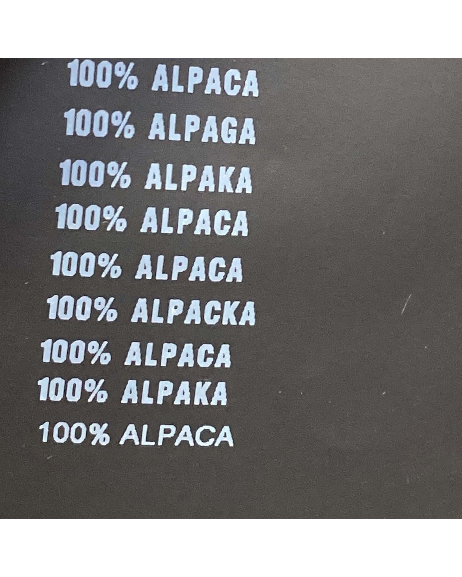 479729_9_P.jpg