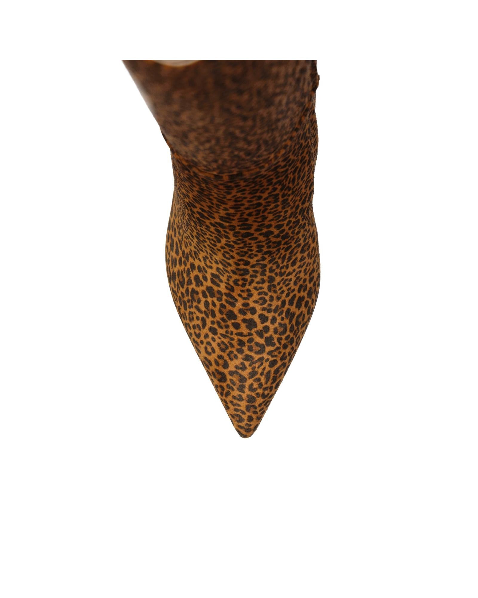 512419_4_P.jpg