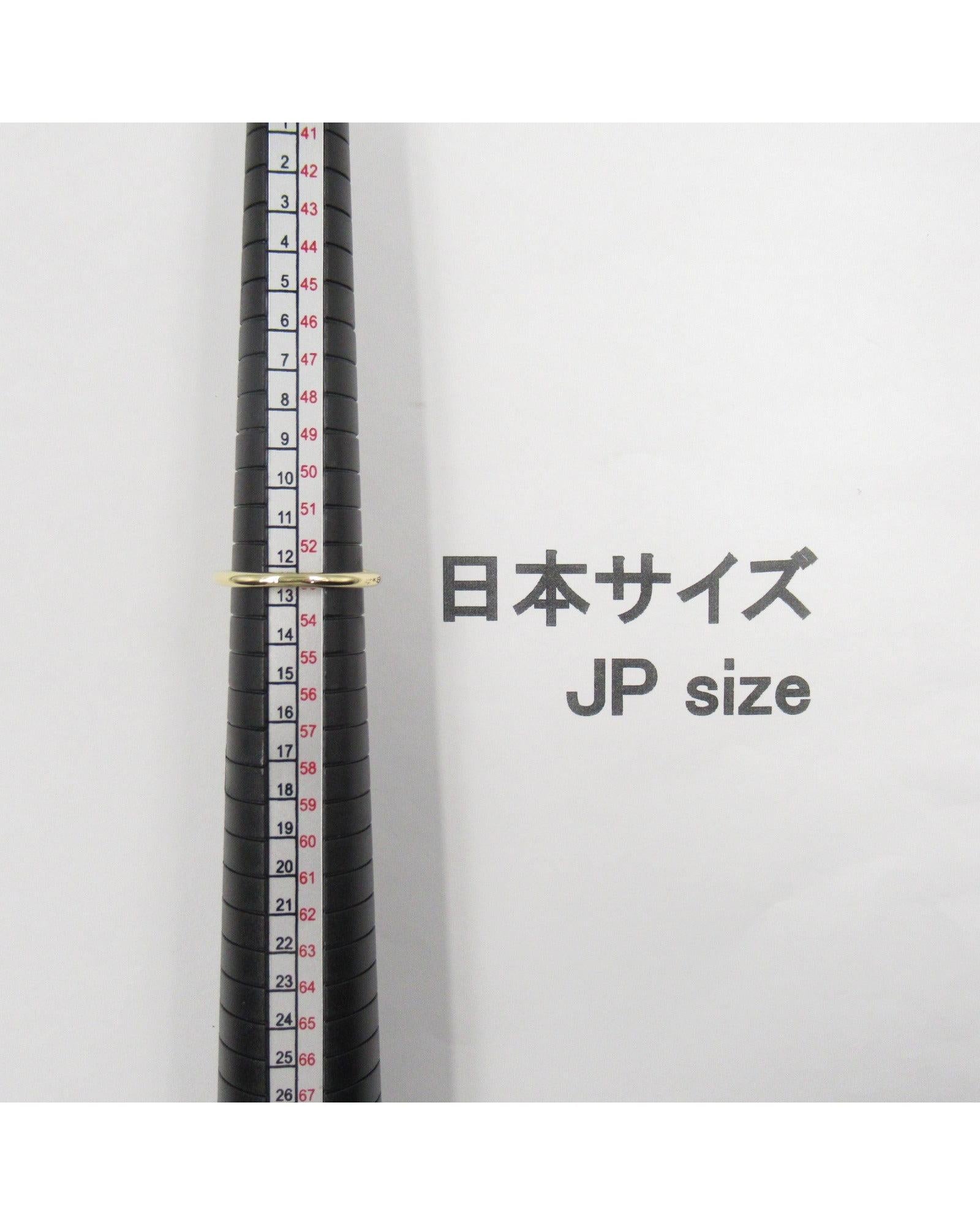 518550_5_P.jpg