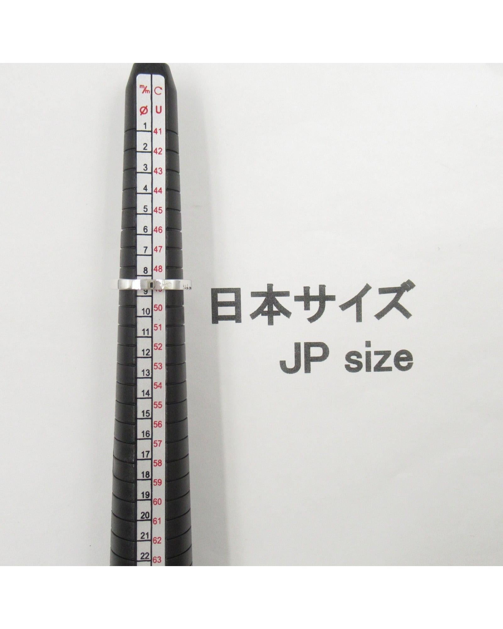 523276_4_P.jpg