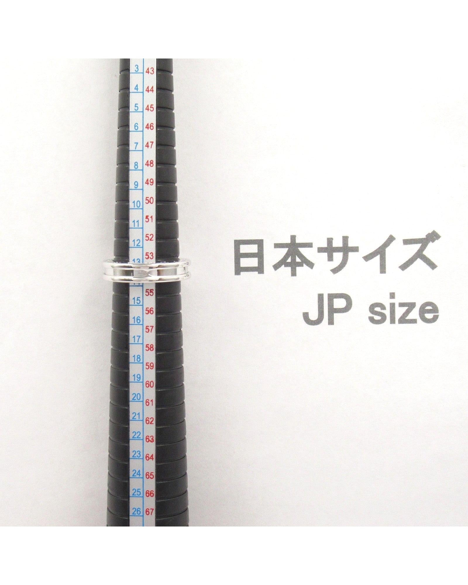 523367_5_P.jpg