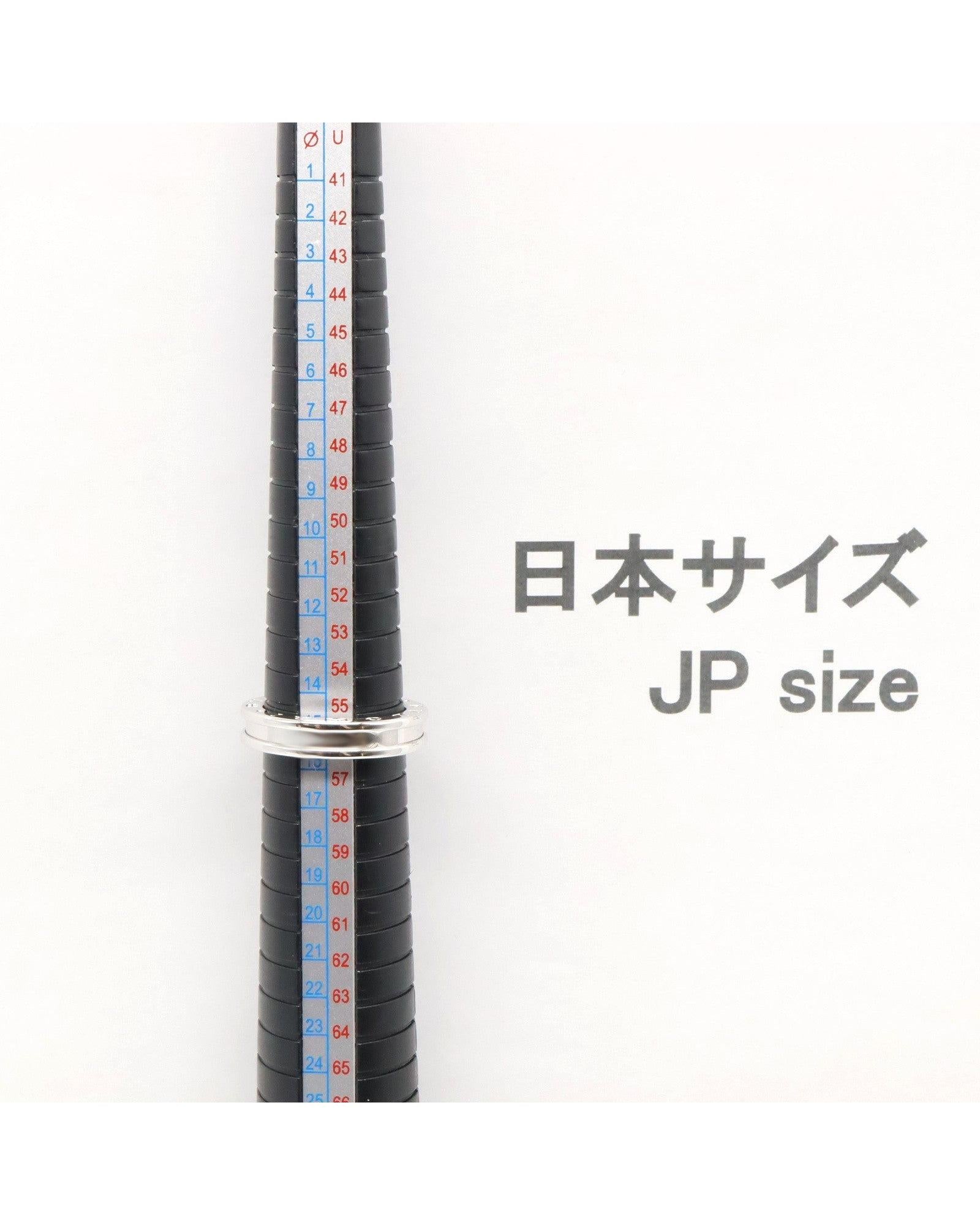 523849_4_P.jpg